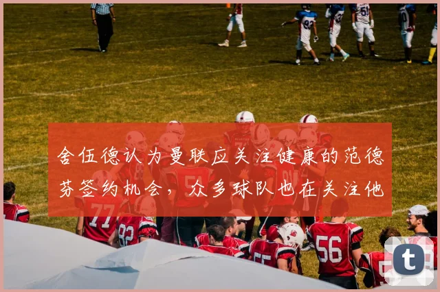 舍伍德认为曼联应关注健康的范德芬签约机会，众多球队也在关注他