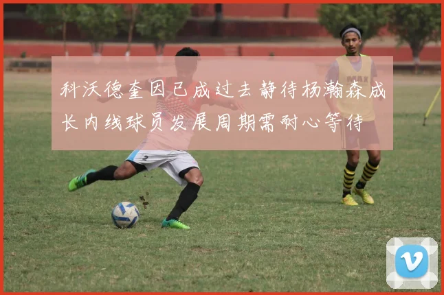 科沃德奎因已成过去静待杨瀚森成长内线球员发展周期需耐心等待