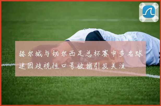 赫尔城与切尔西足总杯赛中多名球迷因歧视性口号被捕引发关注